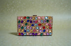 Multicolor Jewel Box Clutch